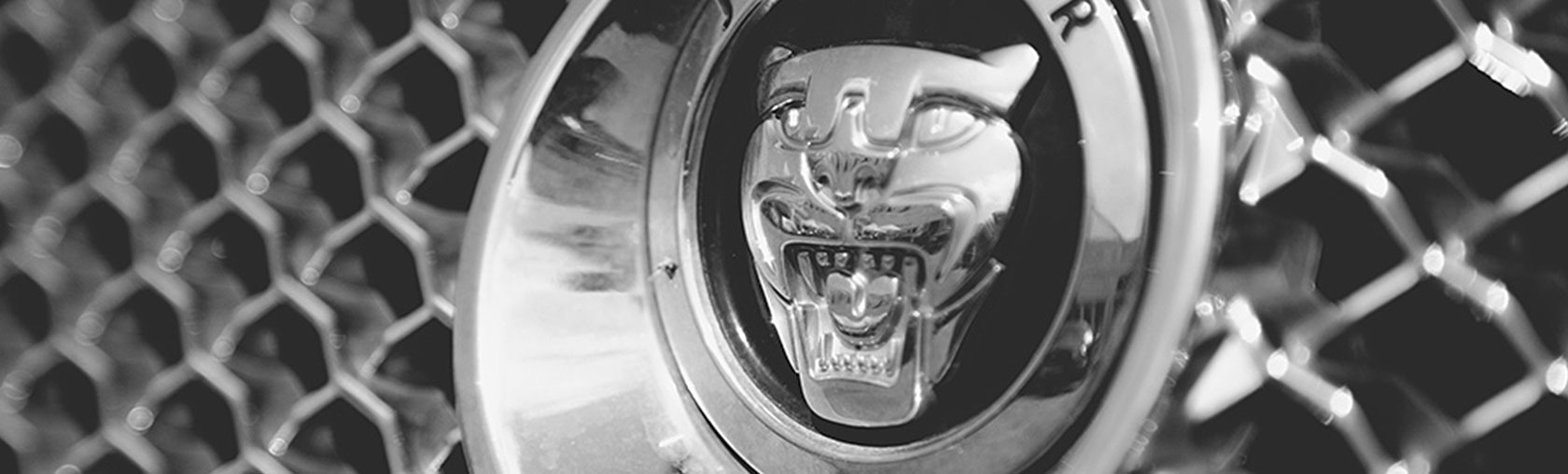 All4jags - Jaguar Parts Europe & Cars