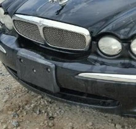 Mesh grill JAGUAR X-TYPE Body