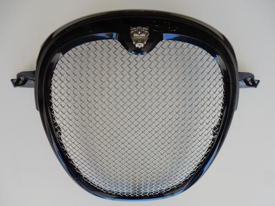 Grill Sport Mesh JAGUAR S-TYPE Karosserie